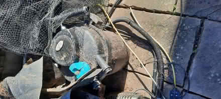 Photo of free Equipment for garden pond (Hereford, Belmont) #2