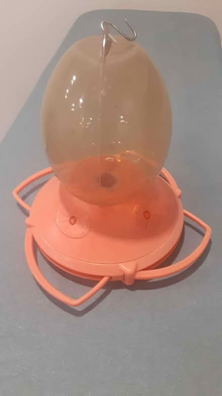 Photo of free Baltimore Oriole feeder (Southdown and Truscott) #2