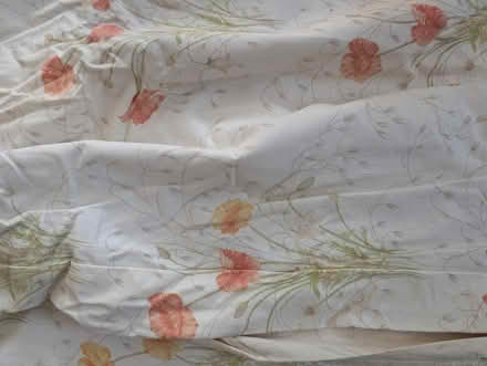 Photo of free Drapes x2 (Wellingborough Northampton) #2