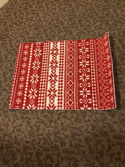 Photo of free small rug and container (Silver Spring Forest Glenn) #1