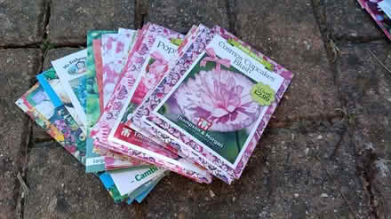 Photo of free 23 packets of seeds (Stanford le hope, SS17) #1