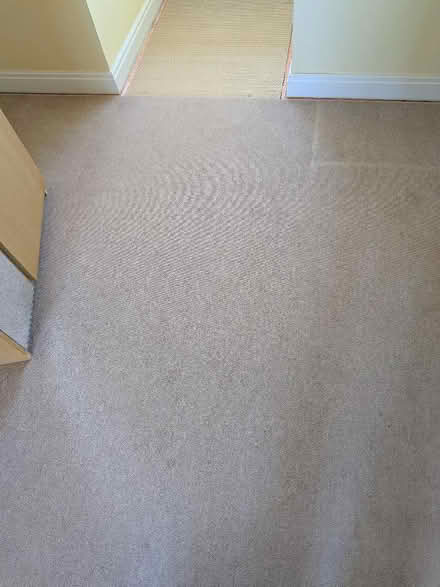 Photo of free Carpet (Banister Park SO15) #1