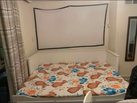 Photo of free IKEA foldable bed with storage (CB3) #1