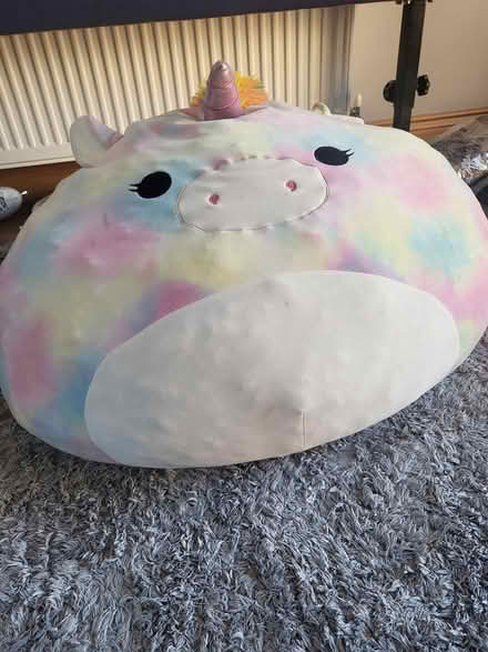 Photo of free XL squishmellow (Shenley Brook End MK5) #1