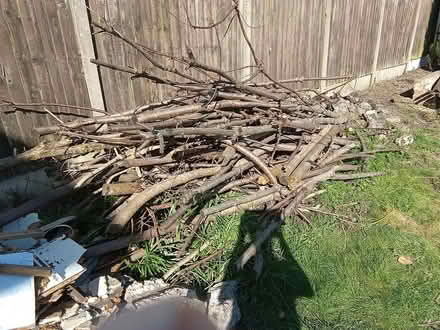 Photo of free Logs & old wood shed (Leamore WS3) #1