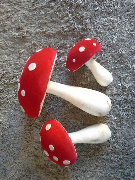 Photo of free mushrooms polystyrene (Shenley Brook End MK5) #1