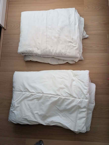 Photo of free 2 Single Duvets and 4 Pillows (Wokingham RG40) #1