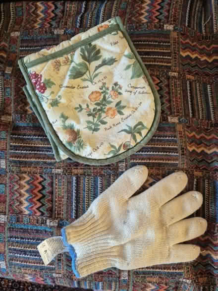Photo of free Oven Gloves and Heat Glove (Loanhead, EH20) #1