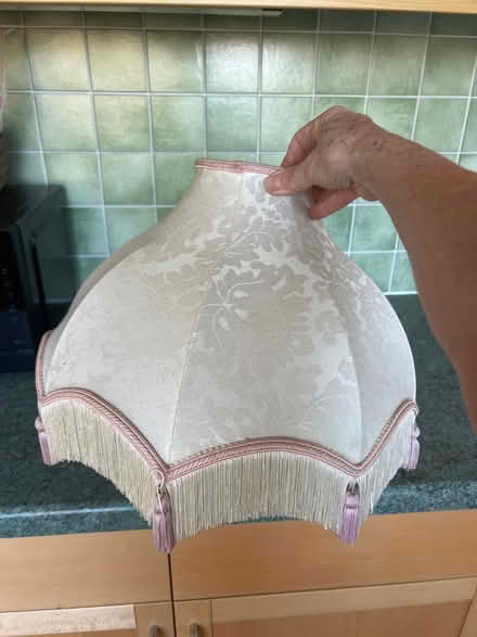 Photo of free Ceiling Lampshade 16” (Hove BN3) #4