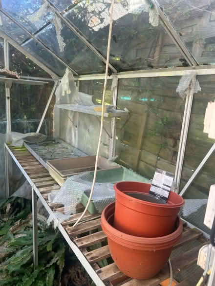 Photo of free Greenhouse (KT17 3BH) #3