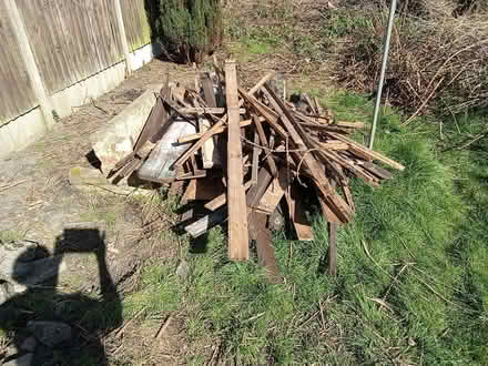 Photo of free Logs & old wood shed (Leamore WS3) #2