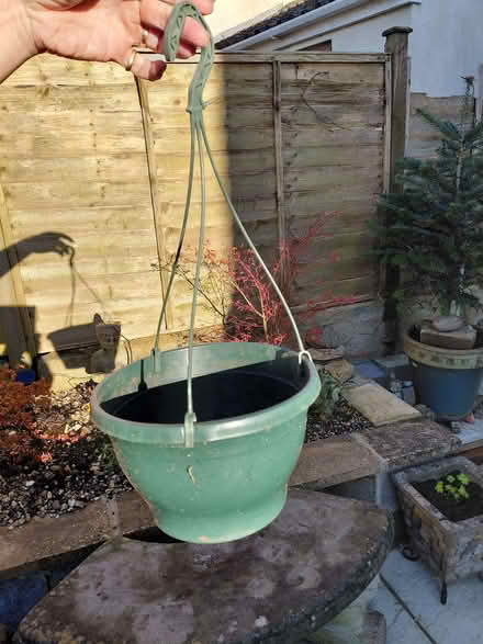 Photo of free Hanging baskets (Stroud GL5) #2