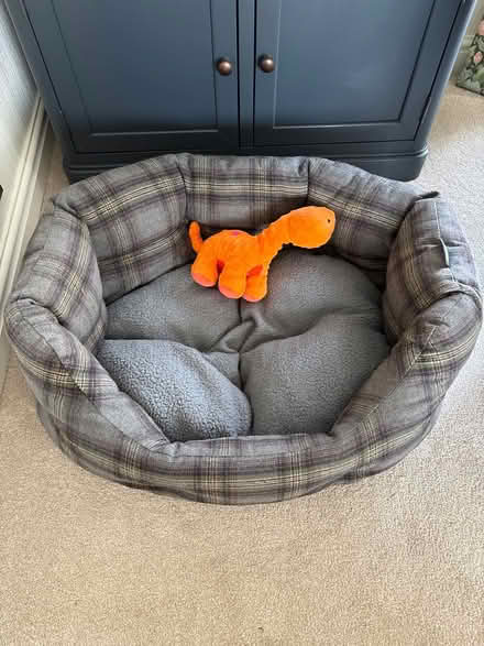 Photo of free Dog bed (Carnforth LA6) #1