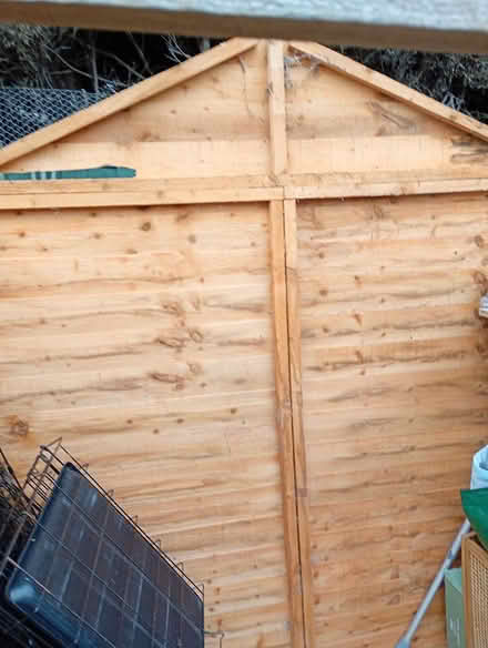 Photo of free Wooden shed (carlton colville) #4