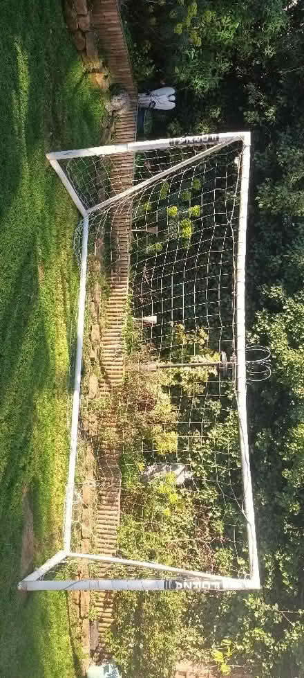 Photo of free Football Goal (Western Park LE3) #1