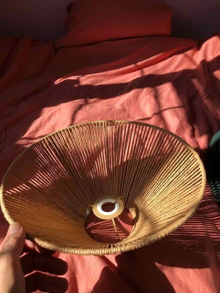 Photo of free lampshade (St Leonards Green TN38) #2