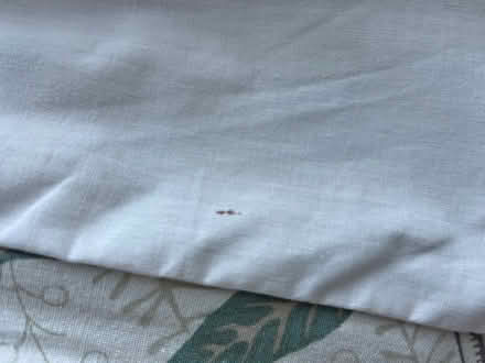 Photo of free Pair of Sanderson William Morris curtains (faded) (Bletchley MK2) #4