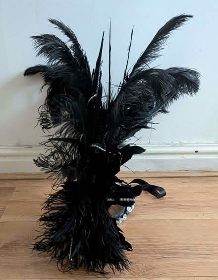 Photo of free Fabulous Party Headdress – Needs a Little Love 💃🏾 (West Hampstead NW6) #3