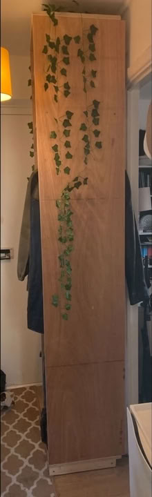 Photo of free Tall narrow plywood coat rack with hanging rail (North Watford WD24) #2