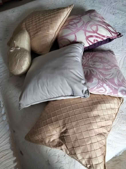 Photo of free Cushions (Binegar, near church.) #1