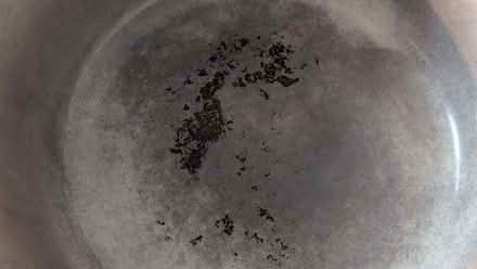 Photo of free Cream cast iron casserole dish (Mousehold NR3) #2