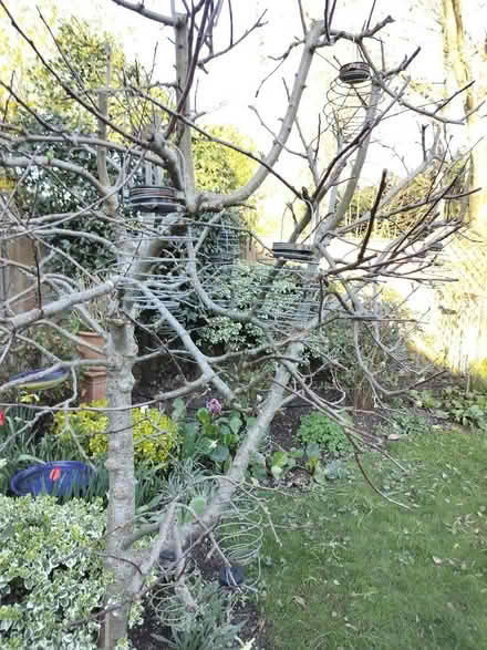 Photo of free 15 small garden lanterns (Southcote RG1) #2