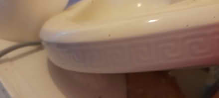 Photo of Toilet cistern lid (Ash green CV7) #3