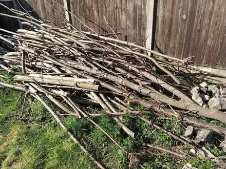 Photo of free Logs & old wood shed (Leamore WS3) #3
