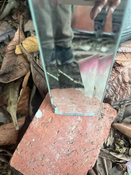 Photo of free Mirror strips (North Willow Glen , San Jose) #3