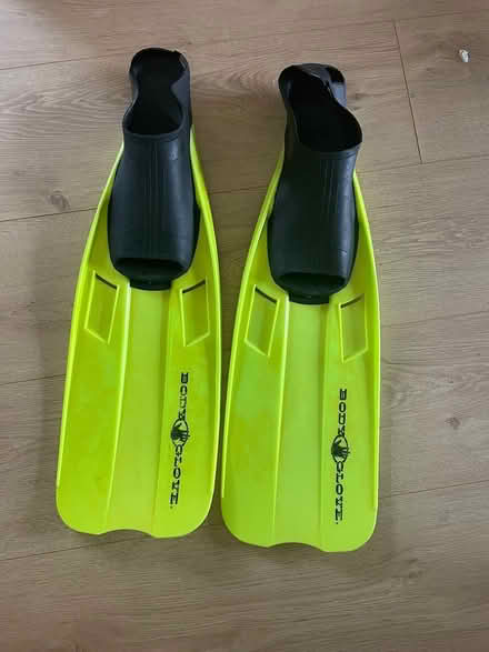 Photo of free Flippers. 53cm long (Cherrywood) #1