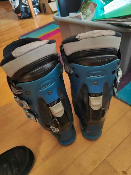 Photo of free Nordica Mens Ski Boots UK 8-9 (Central Weybridge) #2