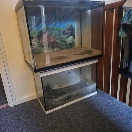 Photo of free Aquariums (Rowner PO13) #1