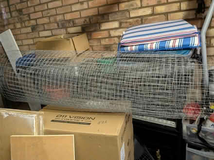 Photo of free Chicken Wire (PR25 leyland) #2