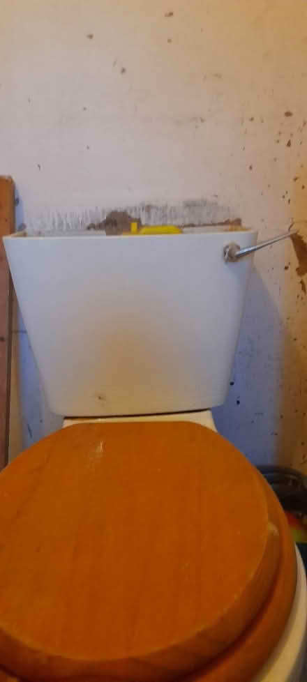 Photo of Toilet cistern lid (Ash green CV7) #1