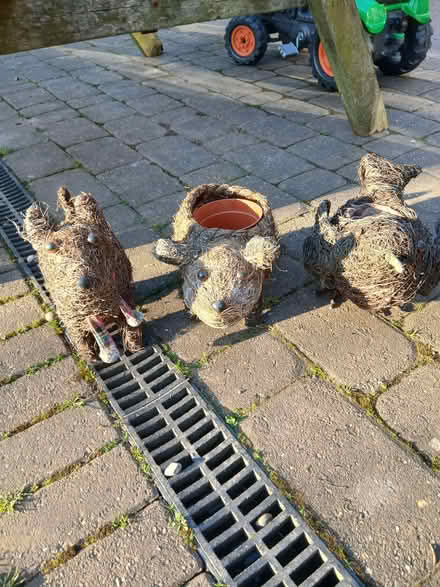 Photo of free Basket Animal Plant Pots (Scrooby DN10) #2