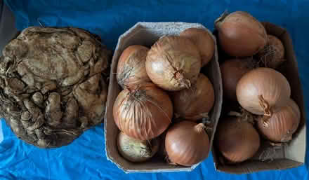Photo of free Vegetables! (Armley LS12) #1