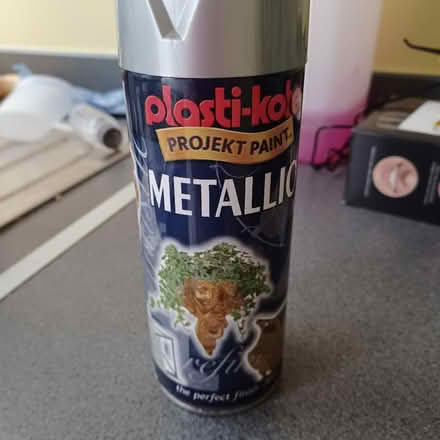 Photo of free Silver project spray paint (Denton's Green WA10) #1