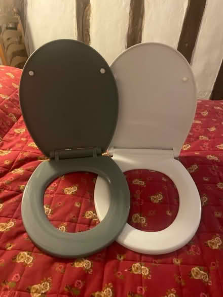 Photo of free Two plastic toilet seats - white and grey (IP7) #2