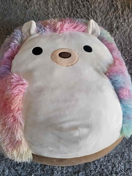 Photo of free big squishmellow (Shenley Brook End MK5) #1