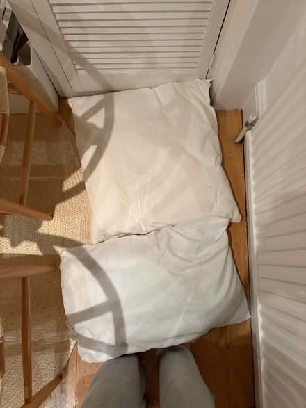 Photo of free Two pillows (Notting Hill W9) #1
