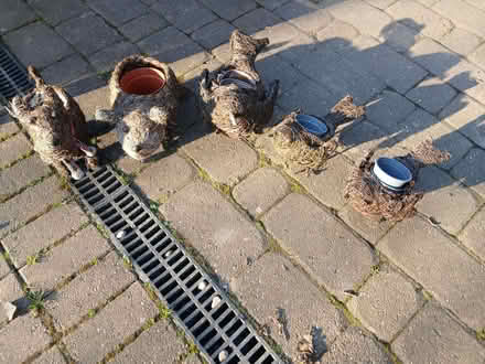 Photo of free Basket Animal Plant Pots (Scrooby DN10) #1