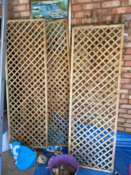 Photo of free Trellis (SG15) #1