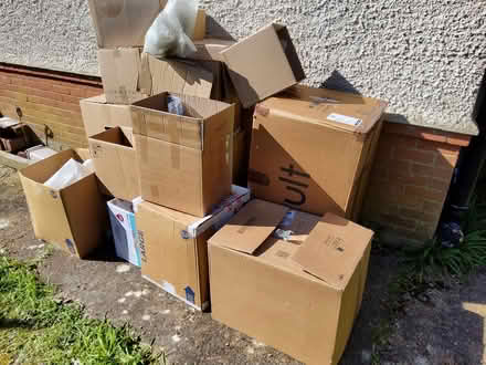 Photo of free cardboard Boxes & packing (Bexhill on Sea) #1