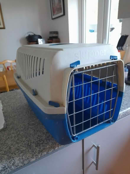 Photo of free Cat / small dog carrier (Yeovil) #1
