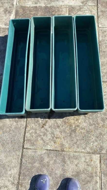 Photo of free Tomato Planters (GL50) #1