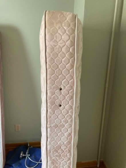 Photo of free Twin mattress, box spring, frame (Winsted) #3