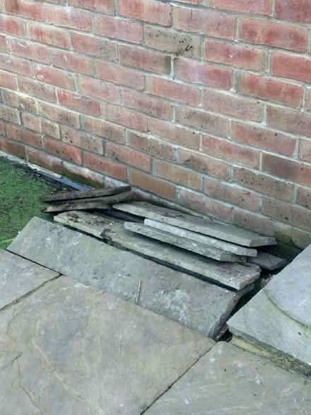 Photo of free Garden slabs (Polegate) #2