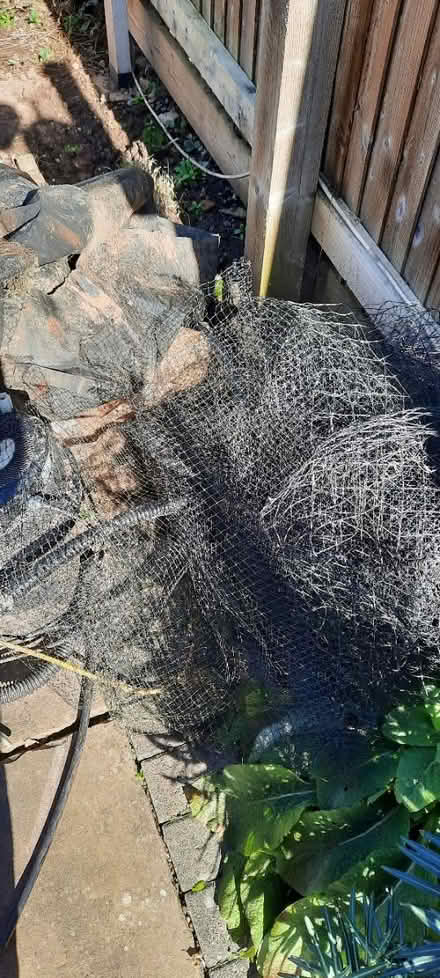 Photo of free Equipment for garden pond (Hereford, Belmont) #4