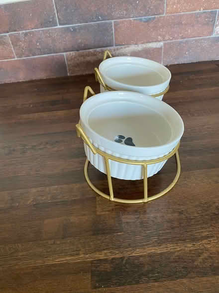 Photo of free Cat Bowls (Ashbourne DE6) #3