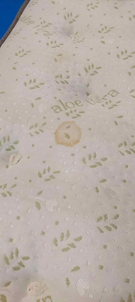 Photo of free Double sprung mattress (Worcester) #2